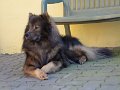 rudel (9)